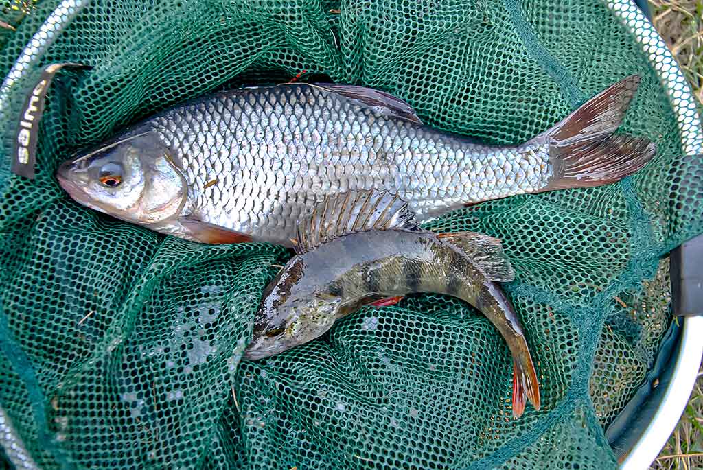 Didelė mažų svarelių reikšmė. Trečia dalis Didelė mažų svarelių reikšmė. Trečia dalis