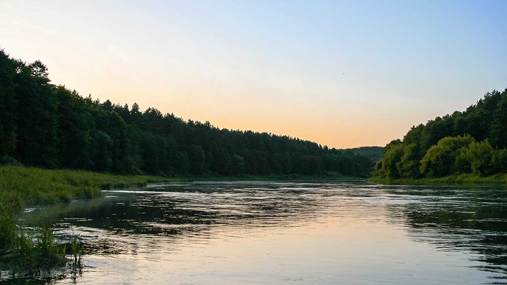 Paskutinės katino dienos Paskutinės katino dienos