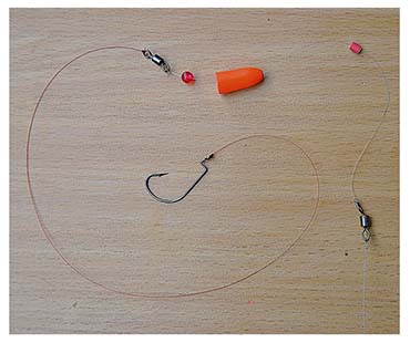 Carolina rig Carolina rig