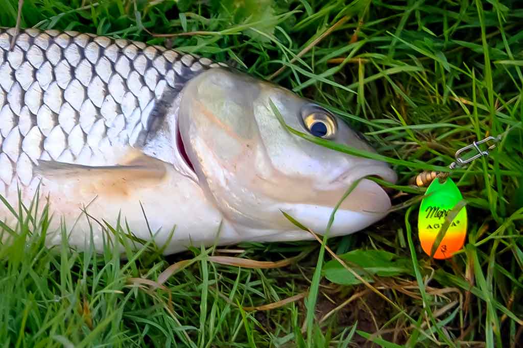 Pradžiamokslis norintiems žvejoti klasikinėmis sukriukėmis