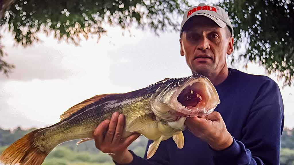 Tvisteris – ne toks paprastas, kaip atrodo Tvisteris – ne toks paprastas, kaip atrodo