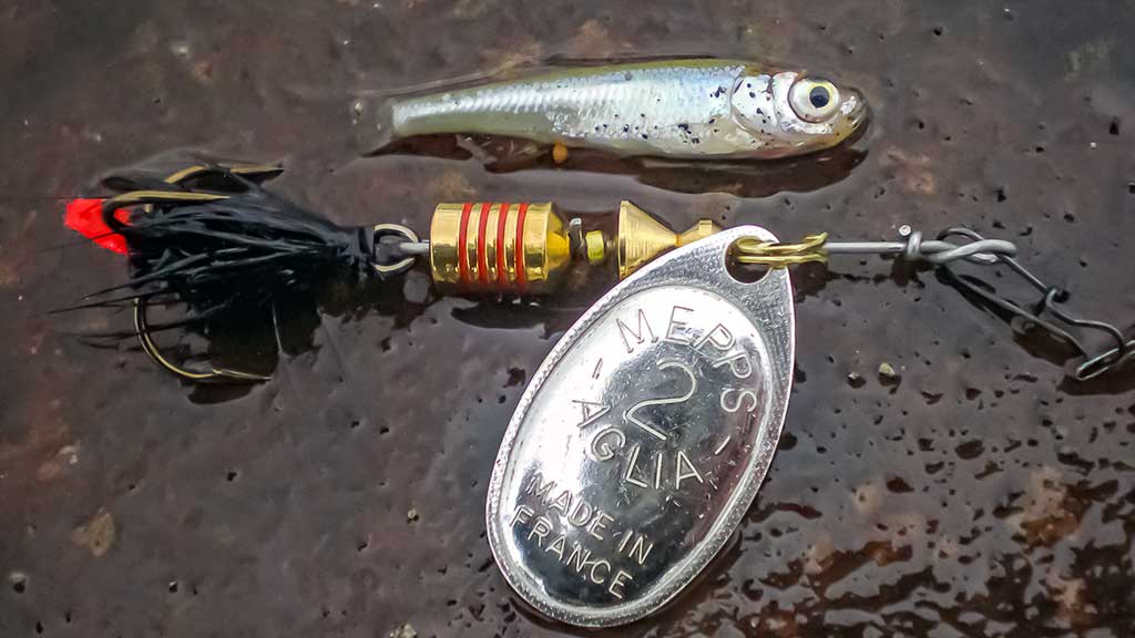 Sukis, lapeli, sukis... Sukriukės, kurioms likau ištikimas Sukis, lapeli, sukis... Sukriukės, kurioms likau ištikimas