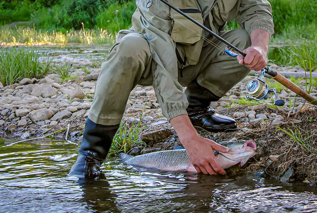 Anglys, pluoštai, dervos ir moduliai. Pirma dalis Anglys, pluoštai, dervos ir moduliai. Pirma dalis