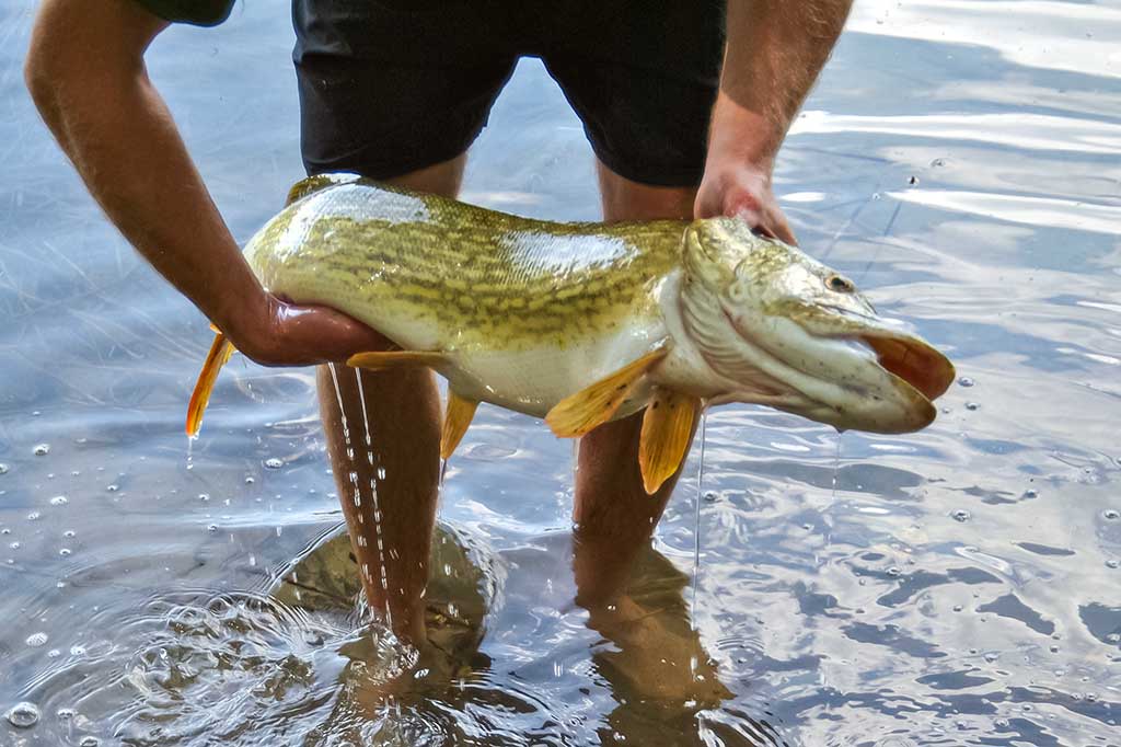 Nugalėtojas būna tik vienas. Antra dalis Nugalėtojas būna tik vienas. Antra dalis