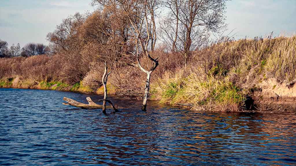 Žiemos gudrybes prisiminus. Pirma dalis