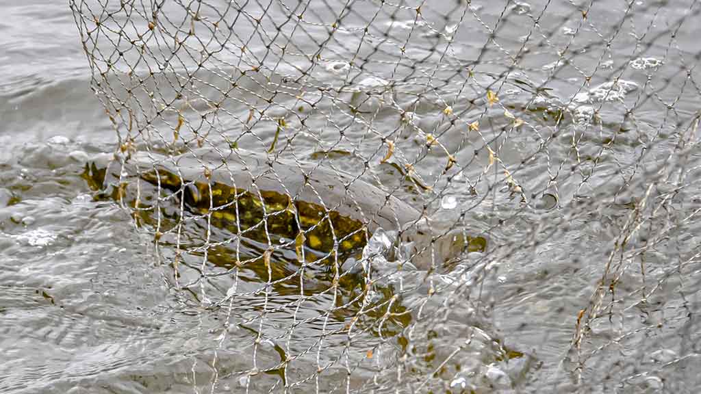 Ten, kur tekėjo upelis. Pirma dalis Ten, kur tekėjo upelis. Pirma dalis