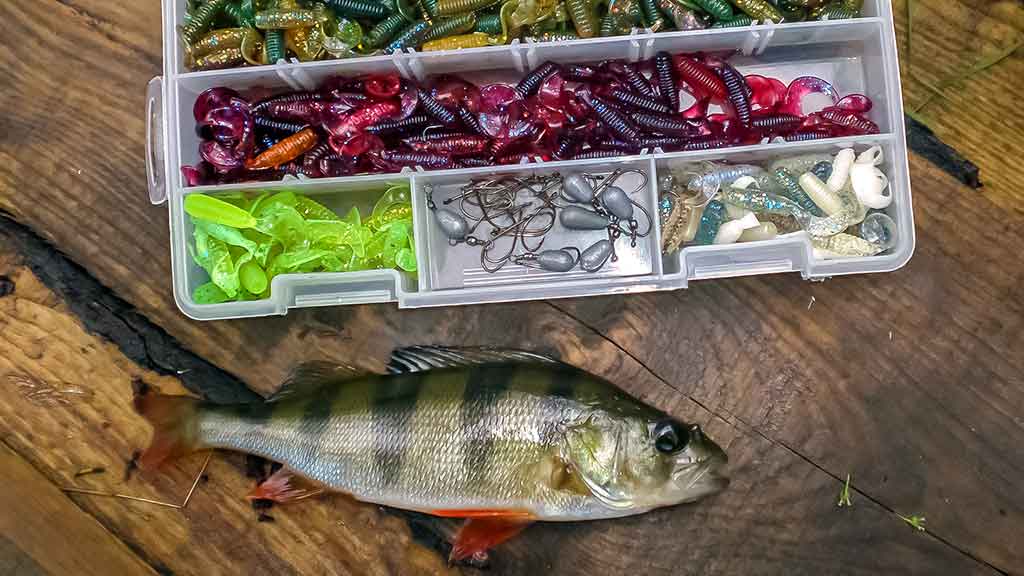 Ešerių žūklė guminukais. Tikrajam rudeniui prasidėjus