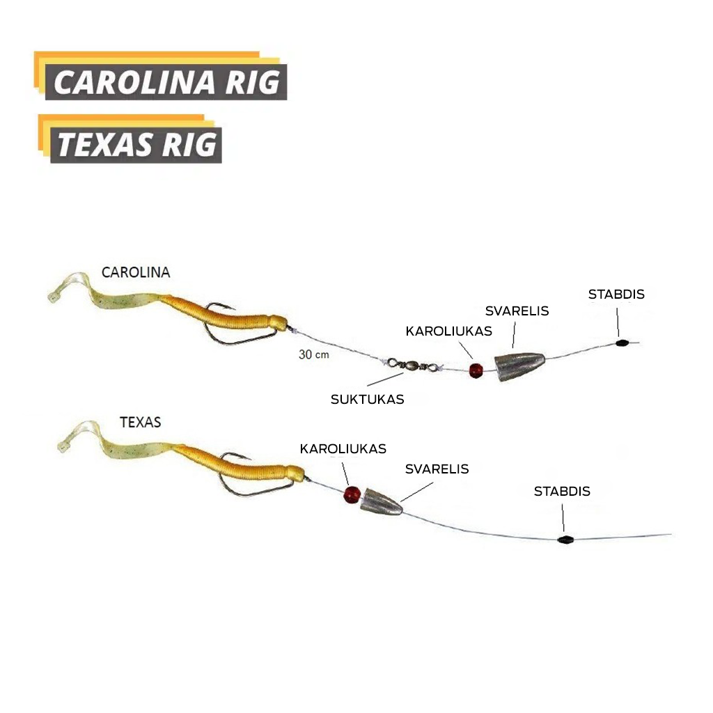 Carolina Texas sistema