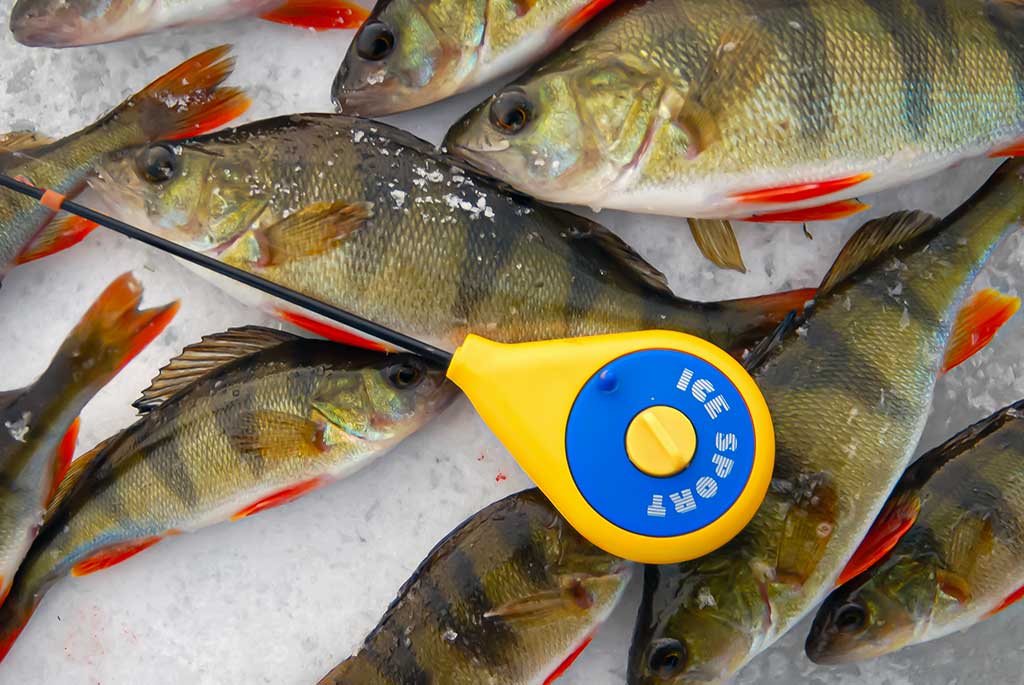 Varžybinis variantas. Antra dalis