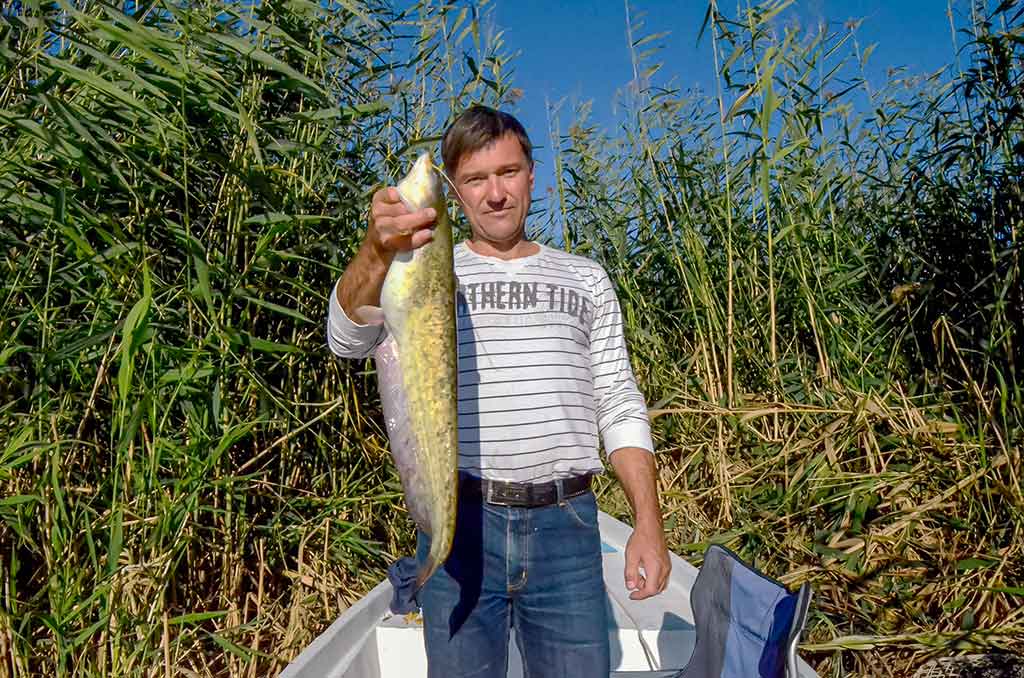 apie žūklę Ilio upės deltoje apie žūklę Ilio upės deltoje