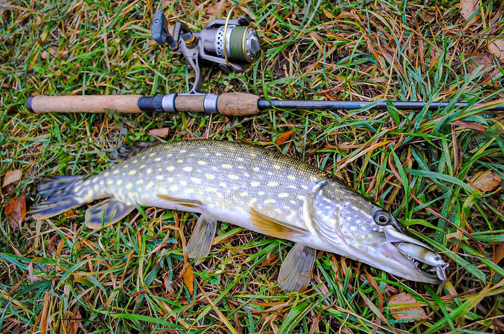 Anglys, pluoštai, dervos ir moduliai. Antra dalis