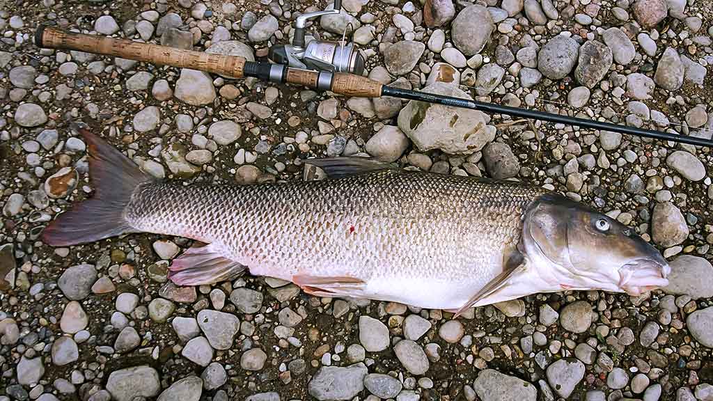 Ūsoriaus žūklė iš valties Ūsoriaus žūklė iš valties