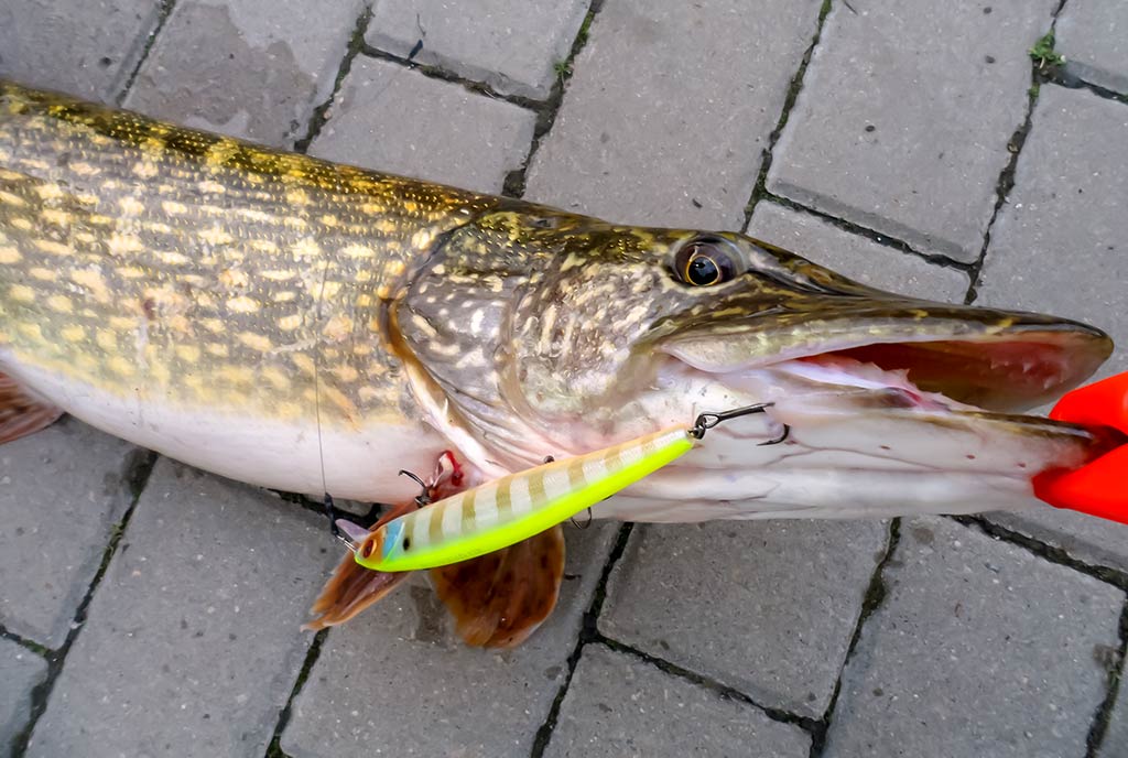 Iš paviršiaus į gilumą. Antra dalis Iš paviršiaus į gilumą. Antra dalis