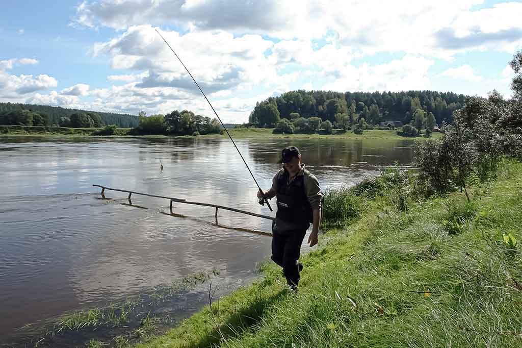 Ką žinome ir ko nežinome apie salatį