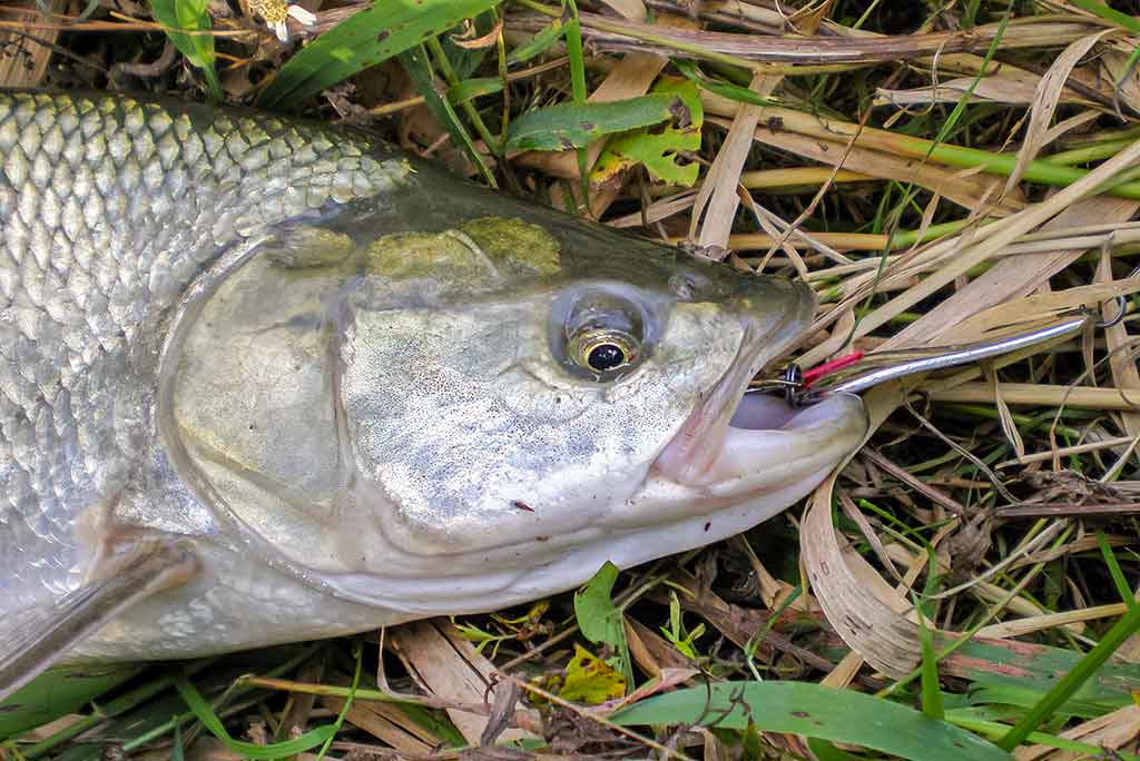 Jei vartiklę prilyginsime guminukui