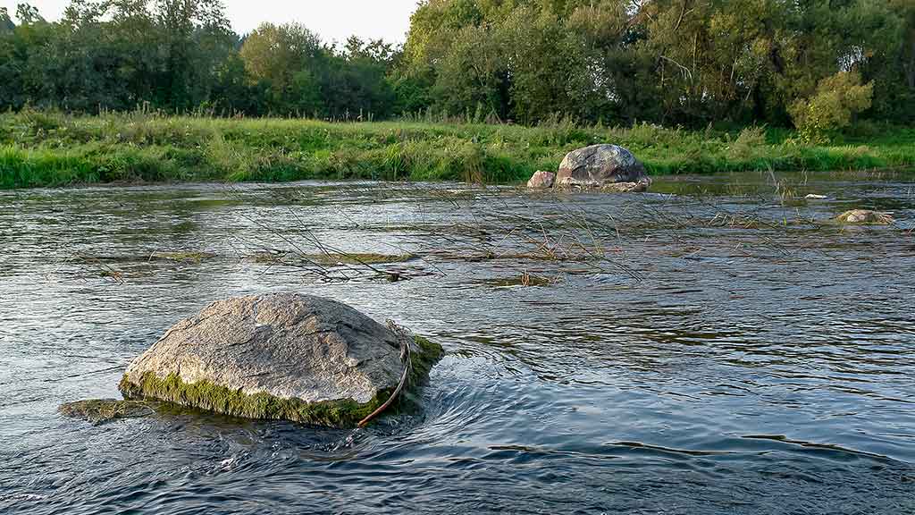 Vandens džiunglių labirintuose. Patys aukščiausi