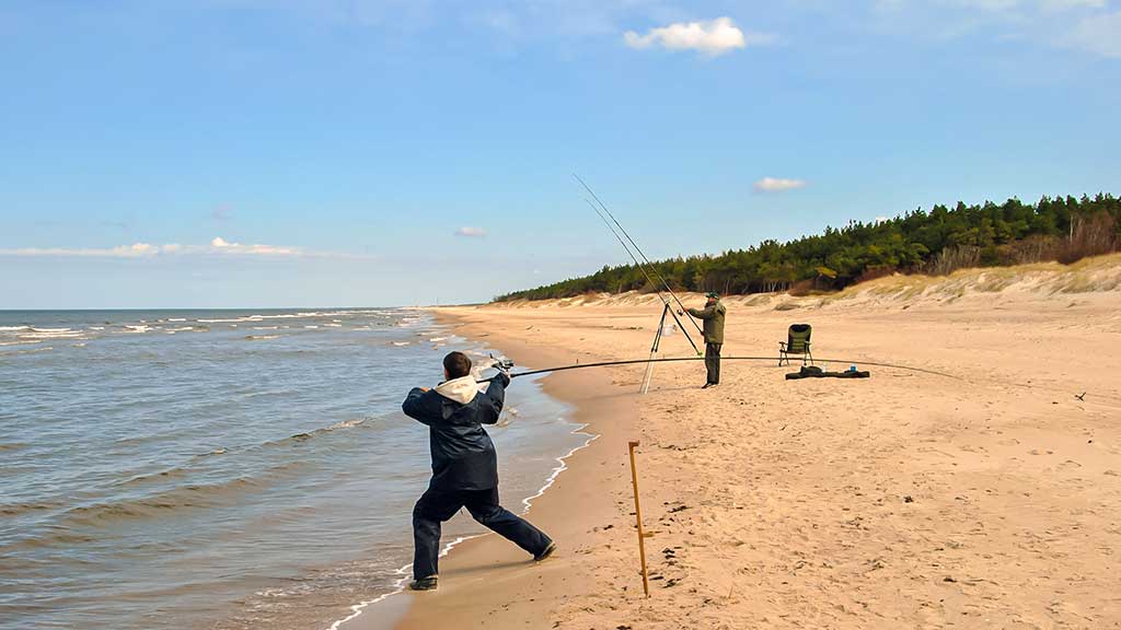 Kaip pagauti Baltijos plekšnę. Išsamiau apie jūrinę įrangą Kaip pagauti Baltijos plekšnę. Išsamiau apie jūrinę įrangą