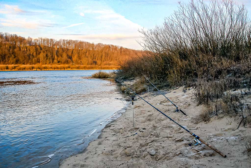 Dugninė. Karklo šaka ar specialus stovelis? Antra dalis