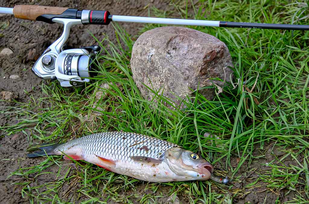 Kiek svarbus žvejui karabinas? Pirma dalis Kiek svarbus žvejui karabinas? Pirma dalis