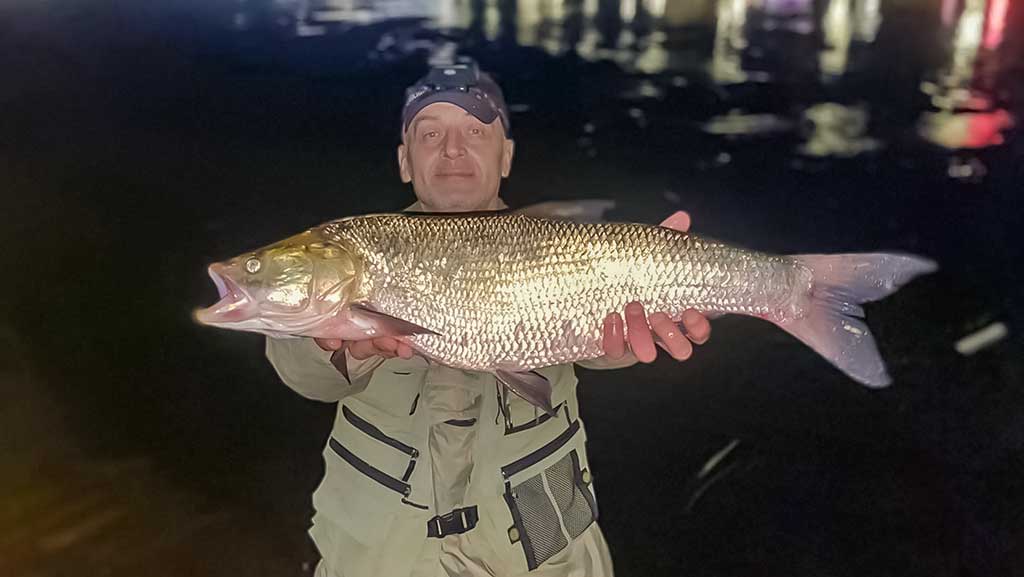 Salačius – ne visai taip, kaip įprasta Salačius – ne visai taip, kaip įprasta