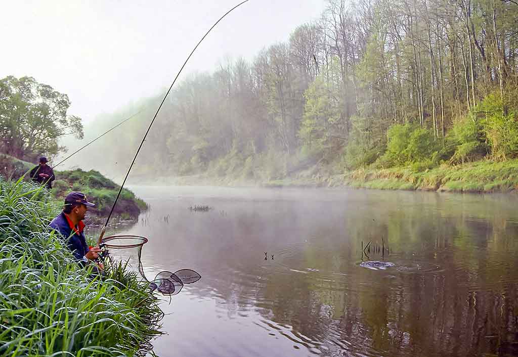 Kur teka Šešupė Kur teka Šešupė