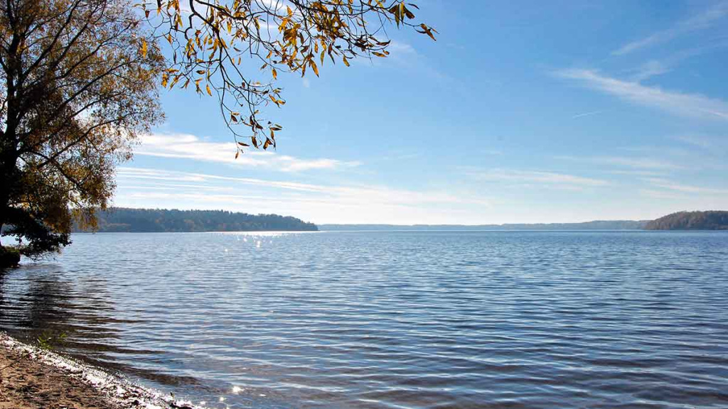 Dar ne laikas mest į kampą meškerę Dar ne laikas mest į kampą meškerę