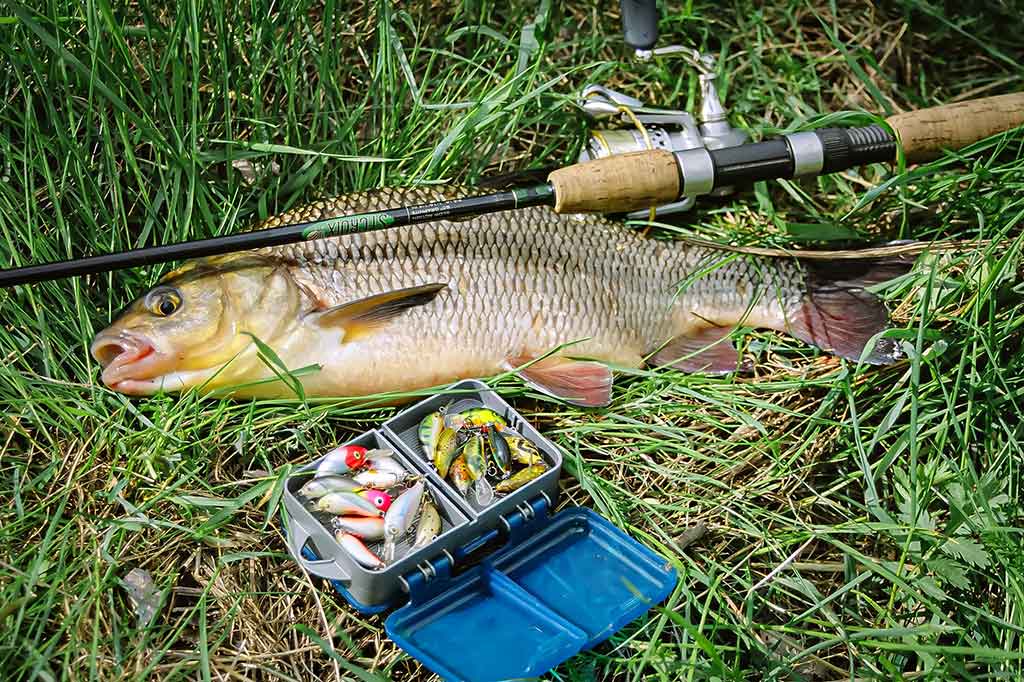 Anglys, pluoštai, dervos ir moduliai. Pirma dalis Anglys, pluoštai, dervos ir moduliai. Pirma dalis