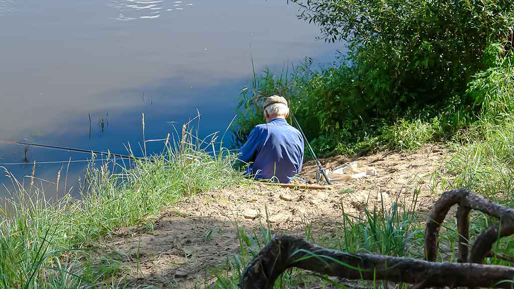 Kaip pagauti Nemune karpį. Žūklės taktika, įranga ir visa kita