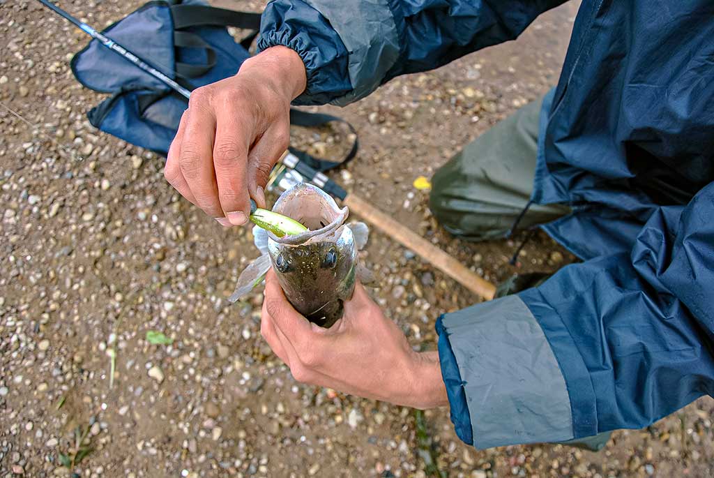 Sėkmingi žingsniai gaudant sterką