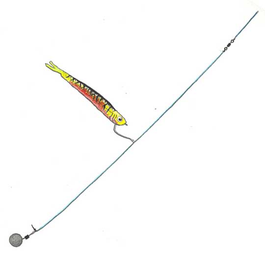 Klasikinė drop-shot komponuotė – kabliukas su masalu tvirtinamas 40-50 cm aukščiau gramzduko Klasikinė drop-shot komponuotė – kabliukas su masalu tvirtinamas 40-50 cm aukščiau gramzduko