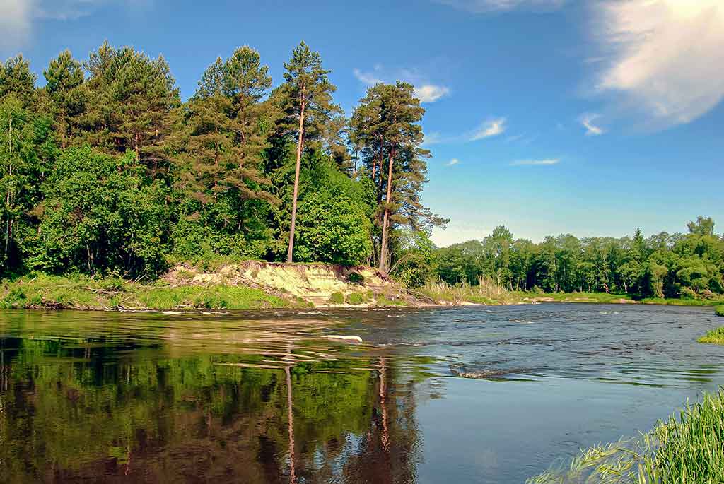 Rėvose su plūdine Rėvose su plūdine