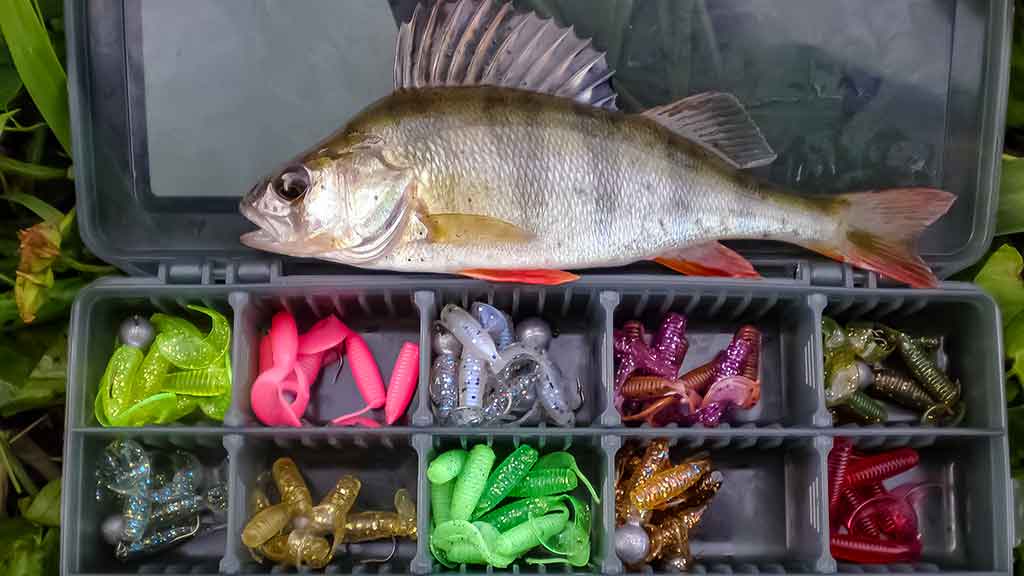 Tvisteris – ne toks paprastas, kaip atrodo Tvisteris – ne toks paprastas, kaip atrodo