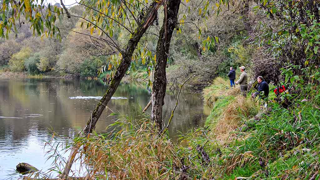 Rudeninė Nevėžio kasdienybė Rudeninė Nevėžio kasdienybė