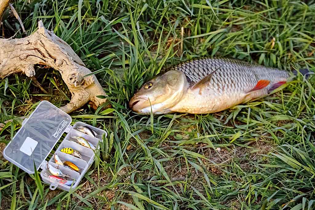Šapalai ir vobleriai. Musės dydžio masalai Šapalai ir vobleriai. Musės dydžio masalai