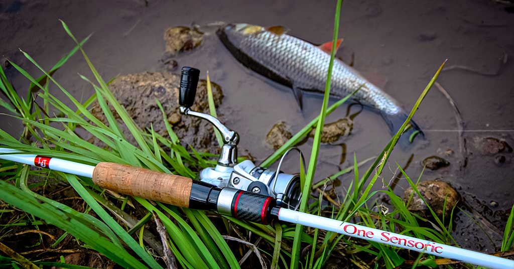 Idealaus įrankio beieškant. Spiningas