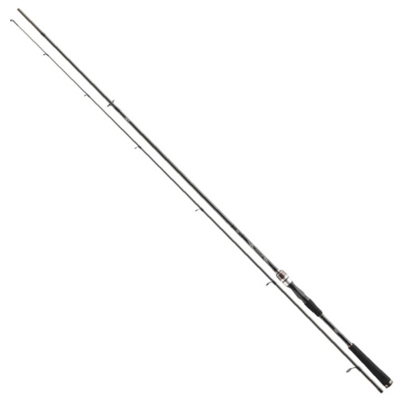 Spiningas Daiwa Exceler Jigger 2.70m 7-28g