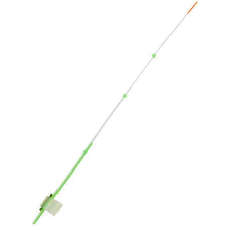 Sargelis lavsaninis Salmo Whitefish 1