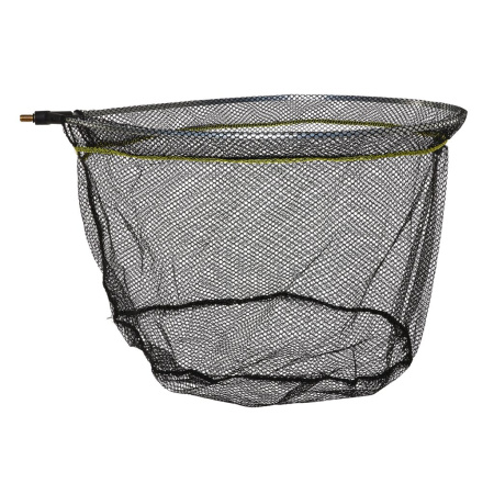 Graibšto galva Salmo