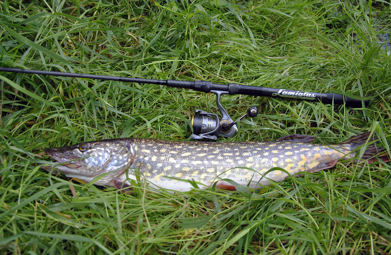 Interpretacijos apie spiningą. Galingumas