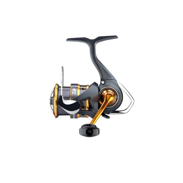 Ritė Daiwa 24 Iprimi LT