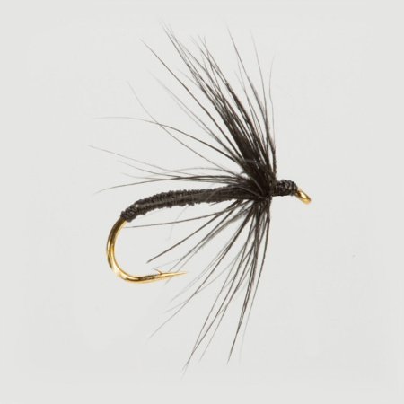 Muselė Turrall Wet Hackled Black Spider