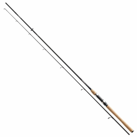 Spiningas Daiwa R`nessa Jigger