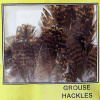 Plunksnos Turrall Grouse Hackles Natural