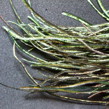 Plunksnos Turrall Peacock Herl