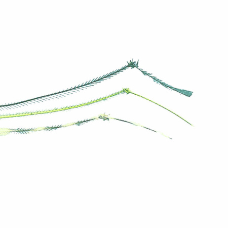 Medžiaga kojytėms Turrall Hopper Legs