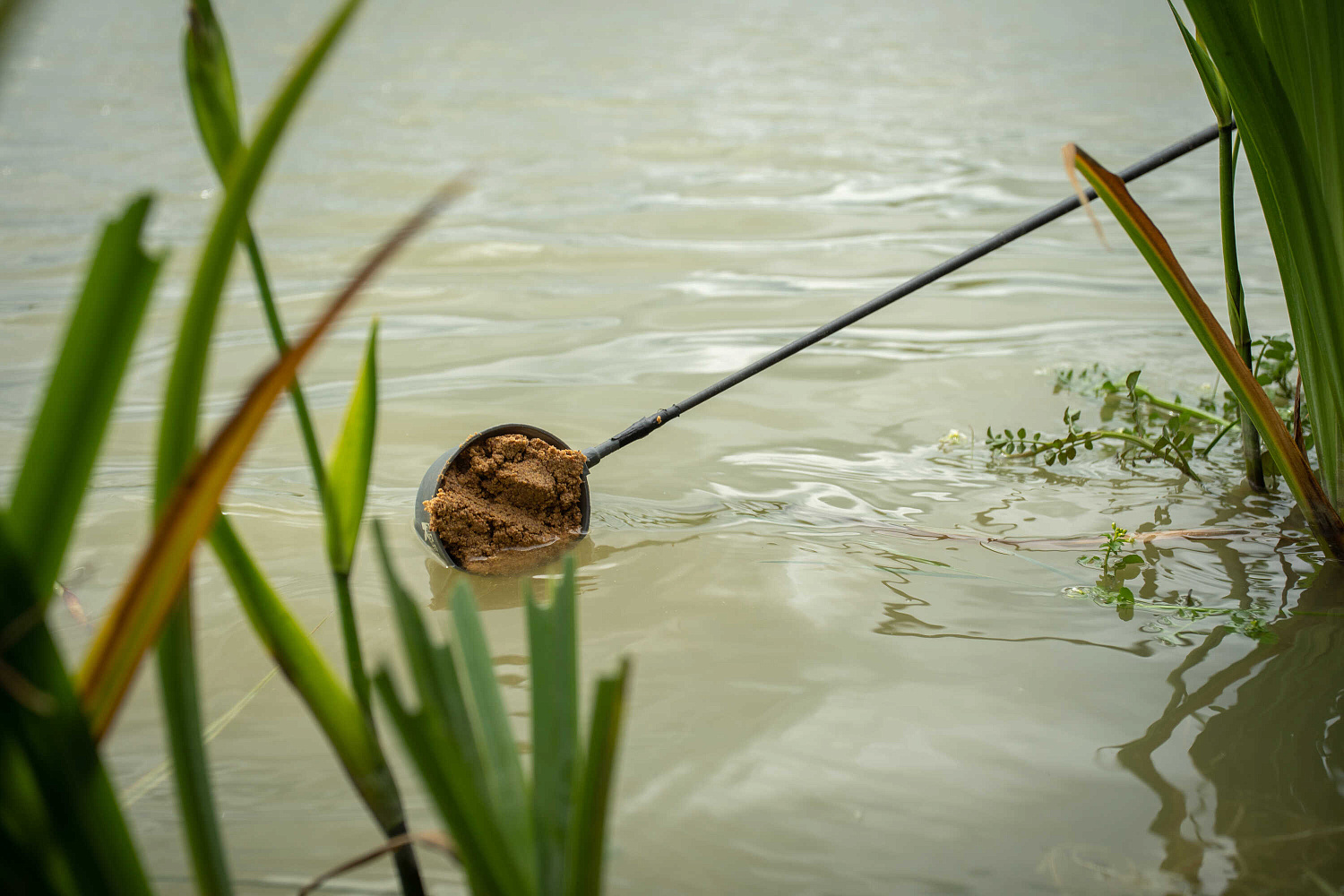 Jaukas Sonubaits Krill & Squid 2kg