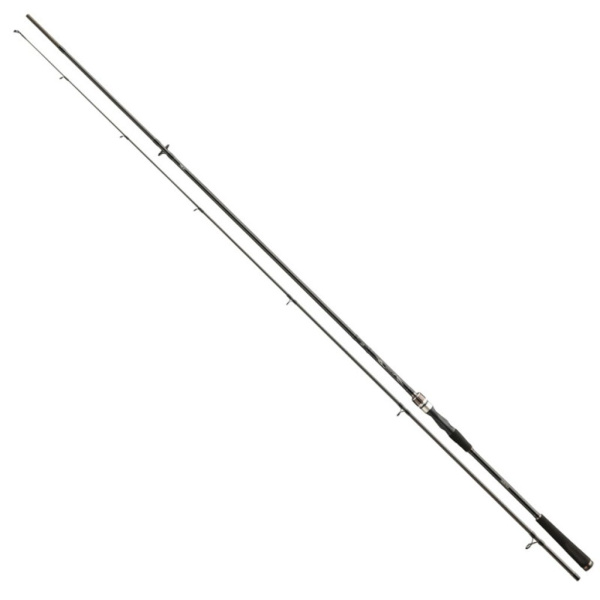 Spiningas Daiwa Exceler Seatrout