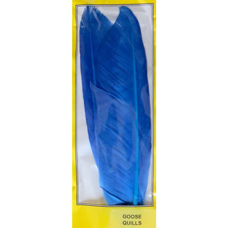 Plunksnos Turrall Goose Quills