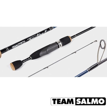 Spiningas Team Salmo Troutino F