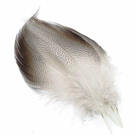 Plunksnos Wapsi Mallard Silver